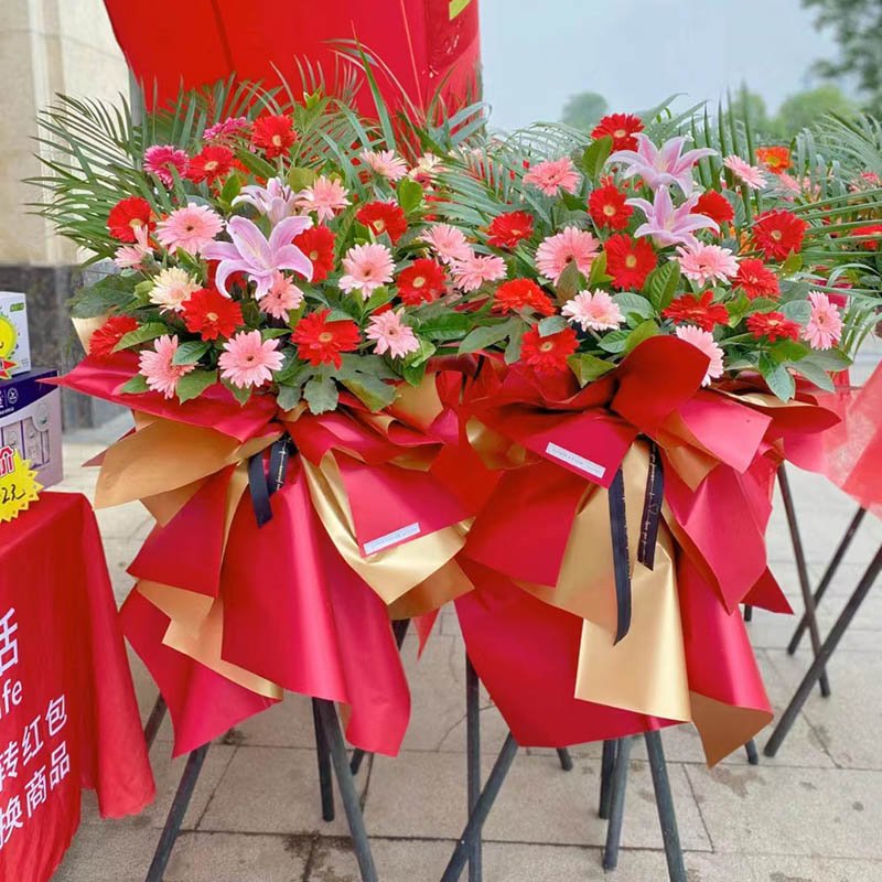 吉祥开业-20朵混色扶郎花，1支百合，搭配栀子叶、散尾葵。红+金色欧雅纸束扎，黑色花结