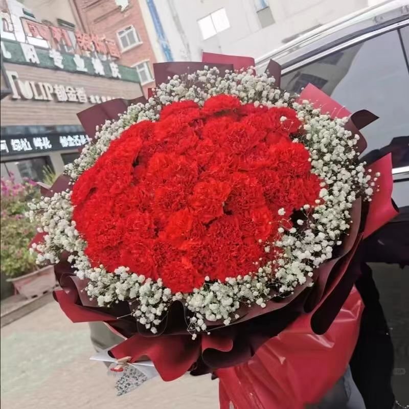 妈妈的爱 33支红色康乃馨搭配满天星